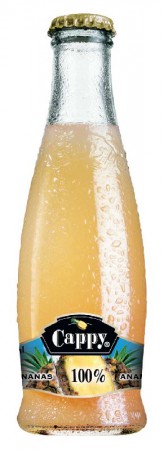 Ananas 0,2 l